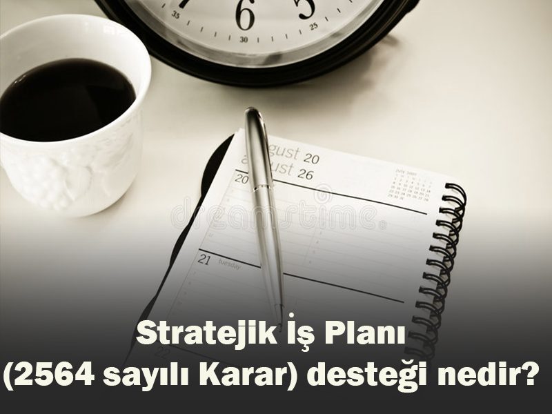 Stratejik İş Planı (2564 sayılı Karar) desteği nedir? 